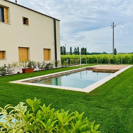 B&B Il Vigneto-2