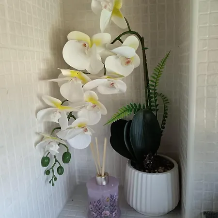 B&B Desenzano-3